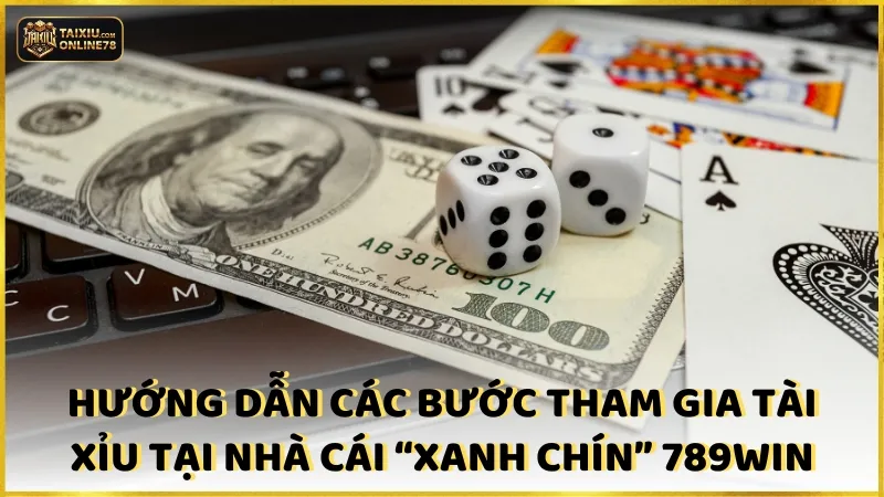 Hướng dẫn các bước tham gia Tài Xỉu tại nhà cái “xanh chín” Win789