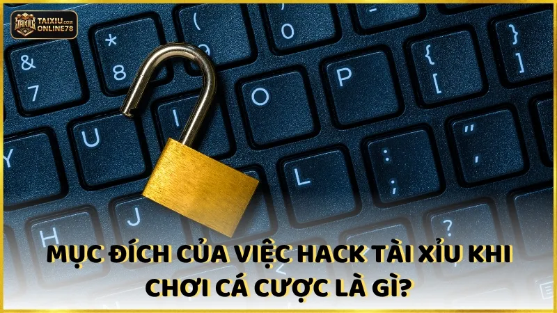 Mục đích của việc hack tài xỉu khi chơi cá cược là gì?